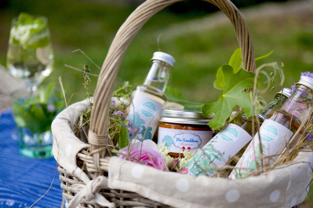 archehof-zur-grube-prudukte
